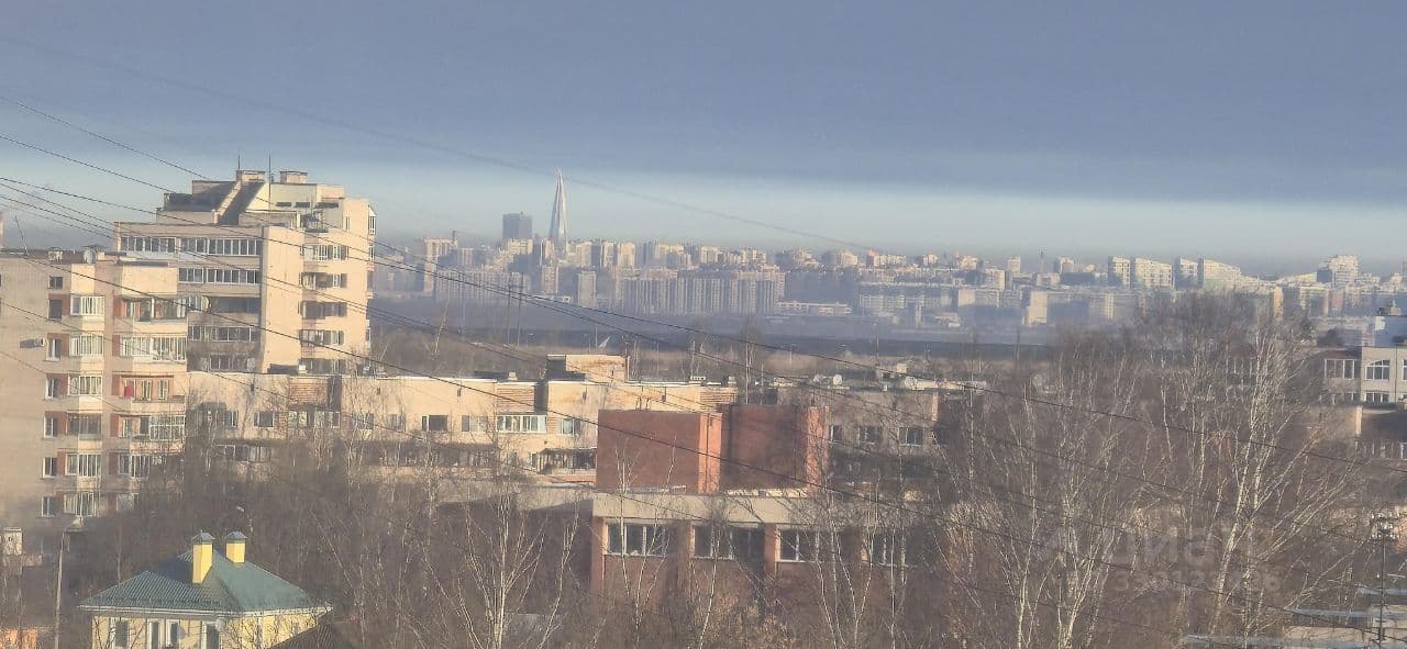 Классная видовая квартира с шикарными панорамами из окон на последнем этаже 9-тиэтажного дома в районе Исторический Пушкин. До всех Пушкинских достопримечательностей 20 минут пешком.
Eвpoтрехкомнатная квартира с потрясающими видами на Санкт-Петербург. Из окон квартиры виден Лахта-центр, телебашня на Петроградской. Можно смотреть салюты с балкона.
Дом расположен в тихом малоэтажном квартале на зеленом бульваре. Летом, когда есть листья, то все просто зеленое.
При этом до аэропорта Пулково около 15 минут, удобный выезд на КАД, Пулковское, Киевское, Красносельское и Московское шоссе, дорога до центра города занимает около 2530 минут.
Железнодорожная станция - в 8 минутах пешком. Рядом автобусная остановка.
Квартира имеет функциональную планировку евротрешки.
кухня-гостиная 31,3 м²
2 спальни 10,1 м² и 9,5 м²
совмещенный санузел (с ванной-джакузи, душевой кабиной, унитазом и раковиной) 5,2 м²
балкон 2,4 м²
Квартира расположена на последнем этаже, рядом нет соседей — больше тишины и приватности. Над квартирой полноценный технический этаж, поэтому протечки с крыши исключены.
Квартира выполнена в светлых спокойных тонах, благодаря чему пространство выглядит аккуратным и уютным. Качественный капитальный ремонт, который делался под себя, с заменой всех коммуникаций. Утепление по периметру всей квартиры, а также дополнительная шумоизоляция.
Установлен кухонный гарнитур со встроенной техникой. Газовая колонка.
Санузел облицован плиткой и полностью оборудованы. Теплый электрический пол в ванной.
Возможность парковки во дворе, чистая парадная. Обжитой район, все в шаговой доступности:
прогулочные бульвары и скверы
школы, детские сады, детские и спортивные площадки
благоустроенная территория рядом с домом
магазины, кафе, аптеки, почта
районная и стоматологическая поликлиники
пункты выдачи онлайн-магазинов
Есть все необходимое для комфортного проживания - высокоскоростной Wi-Fi, цифровое телевидение, газовая колонка (всегда горячая вода), 2 телевизора, газовая плита и духовка, стир — фото 1